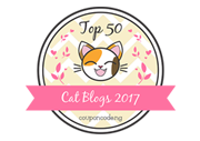 Banners for Top 50 Cat Blogs 2017