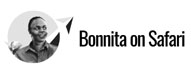 aluochbonnita