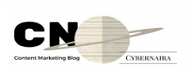 Best Nigerian Bloggers 2019 cybernaira.com